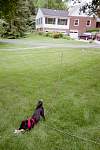 291img022.jpg