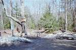 306img008.jpg