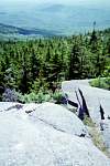 309img016.jpg