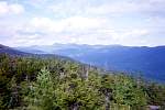 352img007.jpg